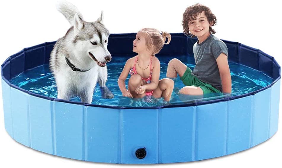 kids and dog in portable pool