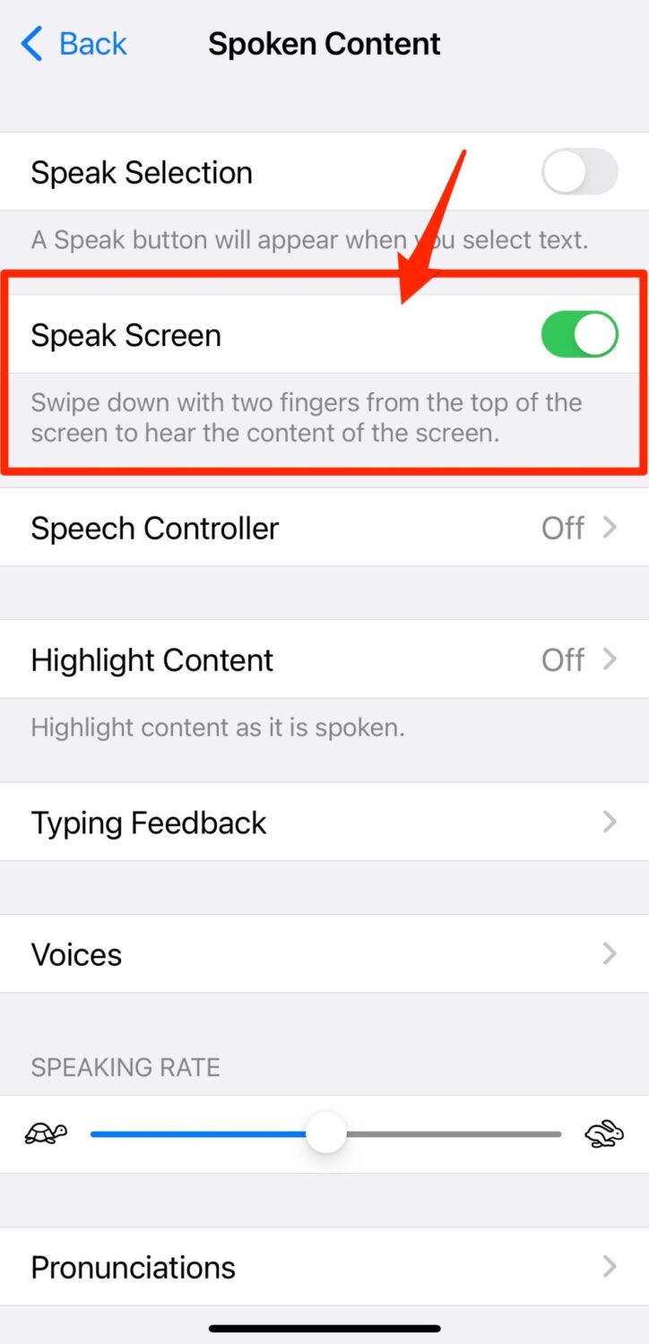How To Have Your IPhone Read Text To You - Speak Screen option
