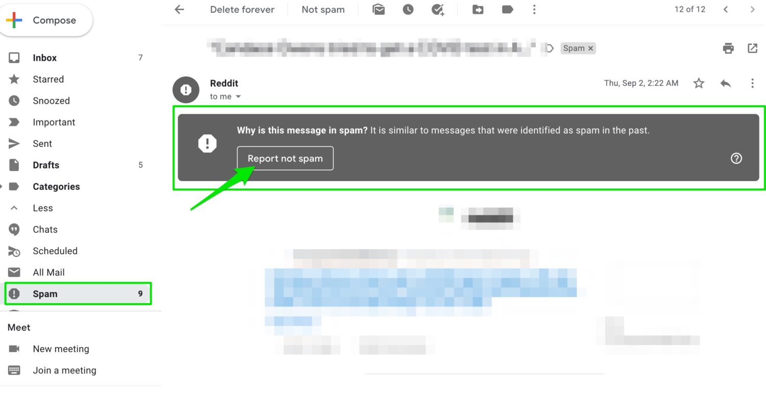 Report not spam button in gmail