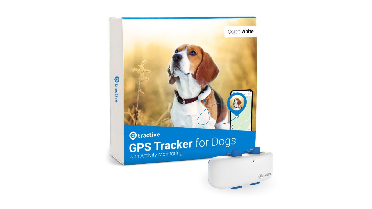 GPS Tracker vs Samsung SmartTag: What's best for pets? - Tractive