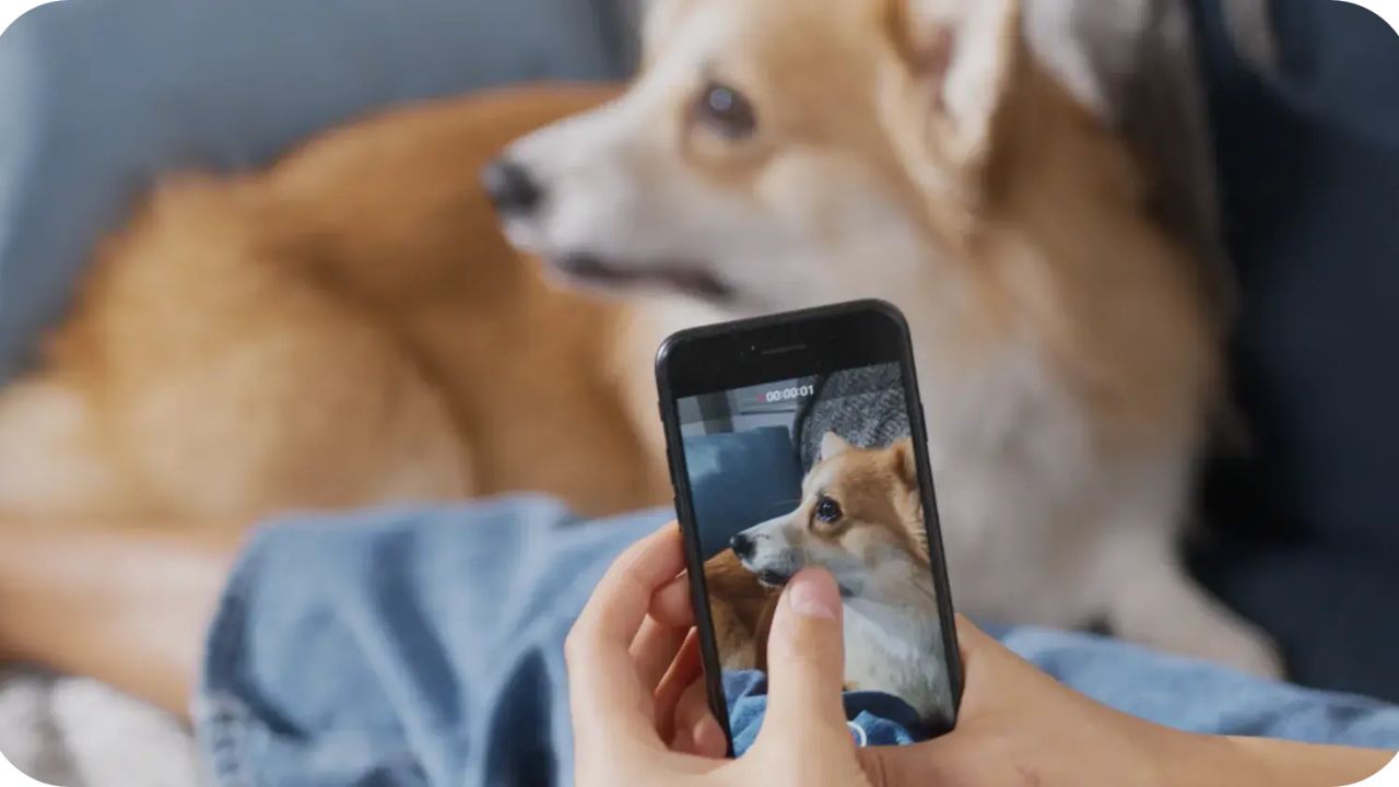 3-PERSON TAKING PIC OF DOG