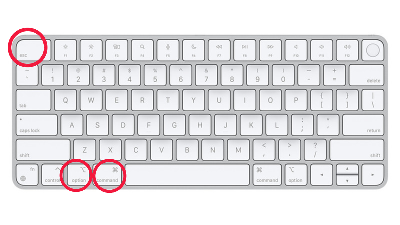 Screenshot of Apple keyboard