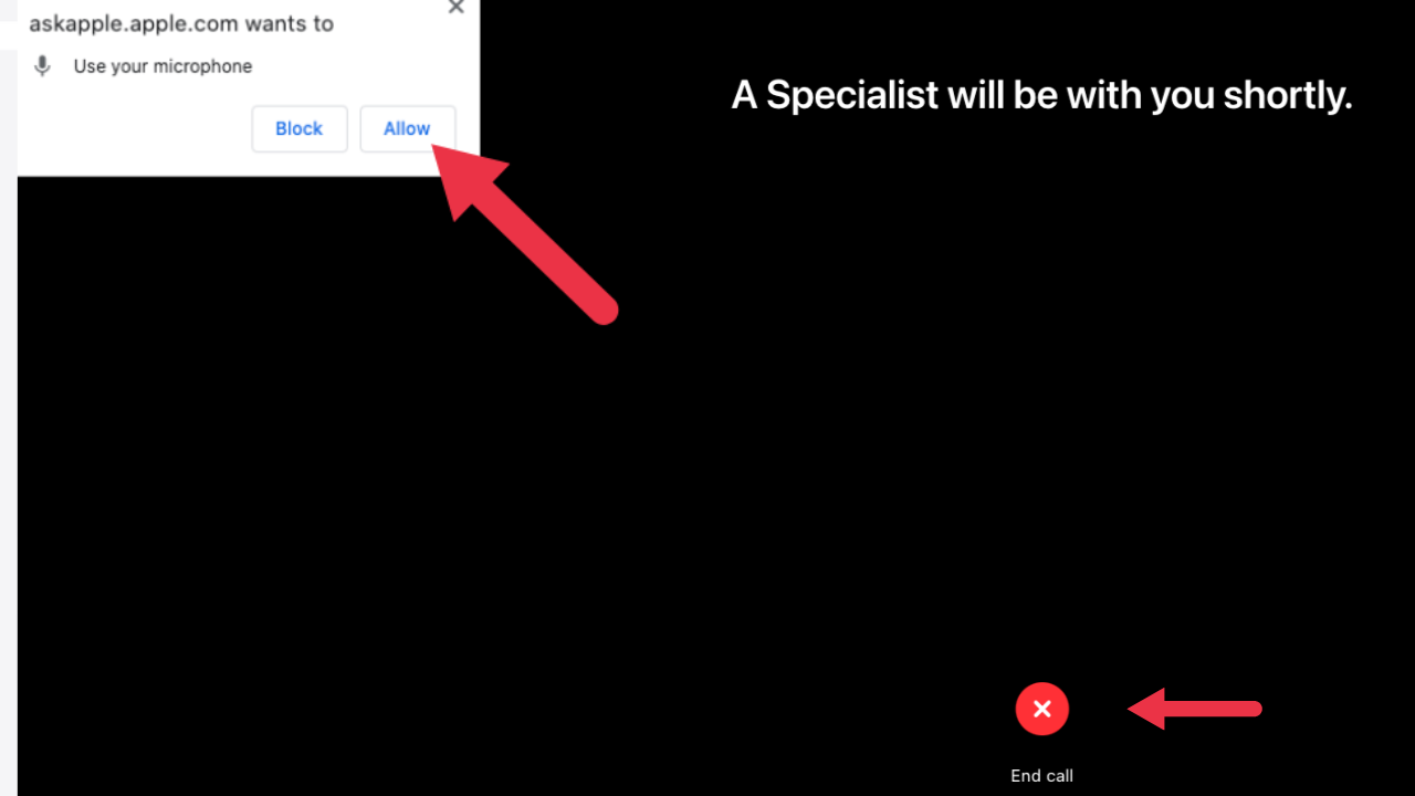 Screengrab of microphone setting and specialist call