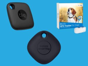 BEST DOG TRACKERS