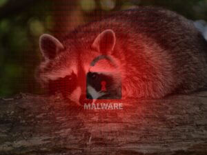 Raccoon Stealer malware