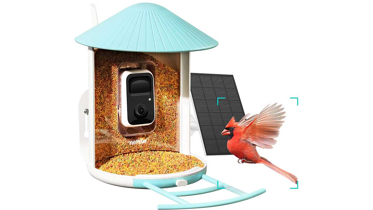 NETVUE Birdfy Lite - Smart Bird Feeder with Camera