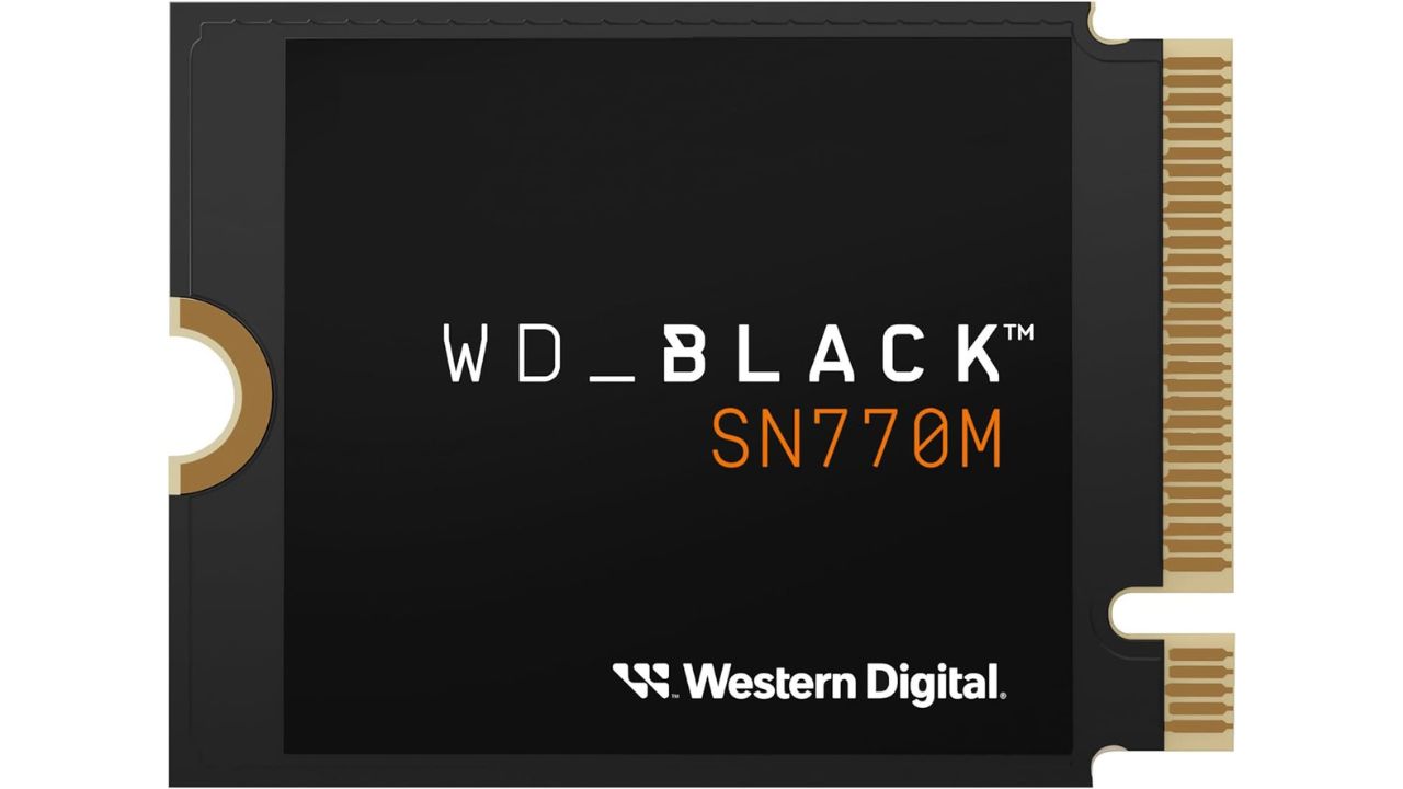 WD BLACK SN770M