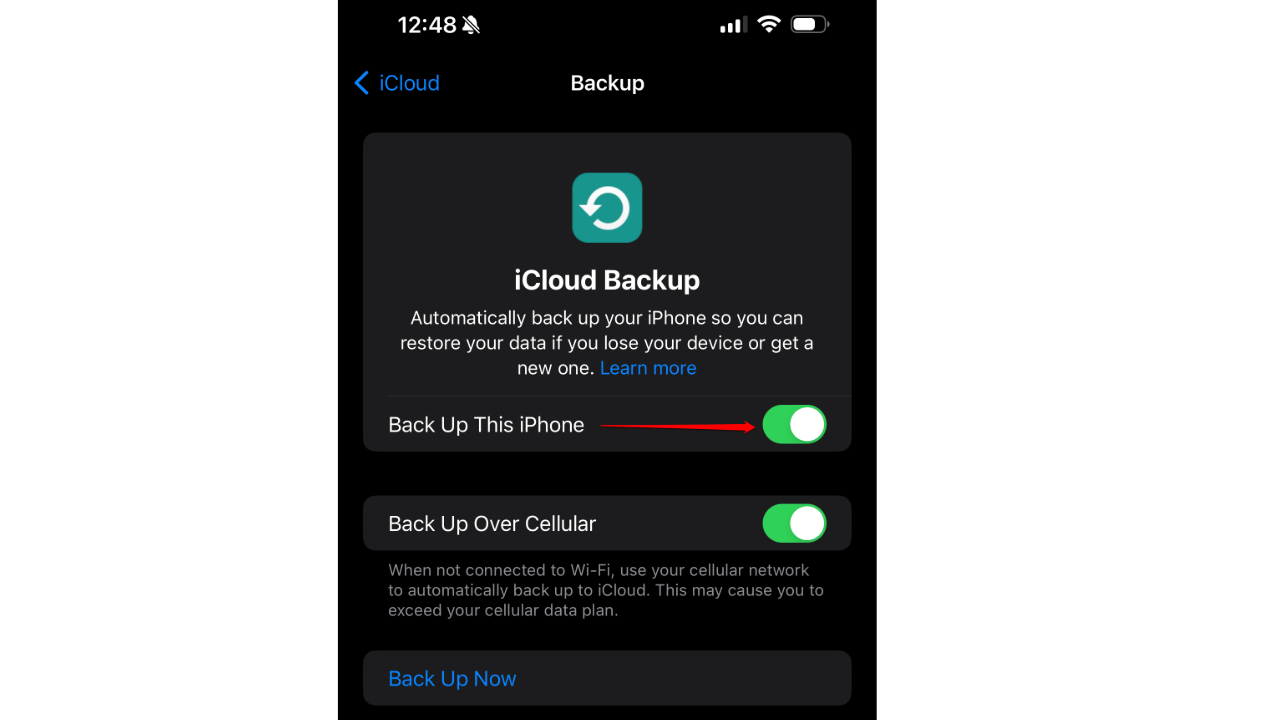 A screenshot showing the iPhone backup settings.