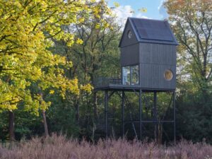 A bird house inspired tiny house