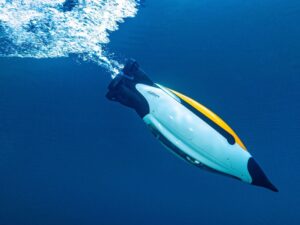 Penguin inspired underwater robot exploring the ocean