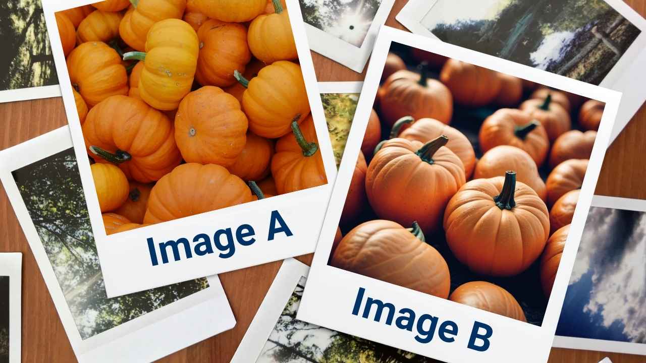 Find the Fake - Pumpkin