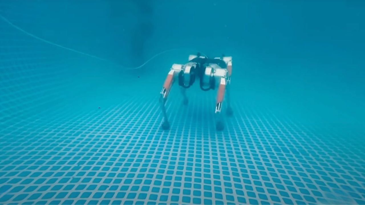 Robot dog walking underwater 