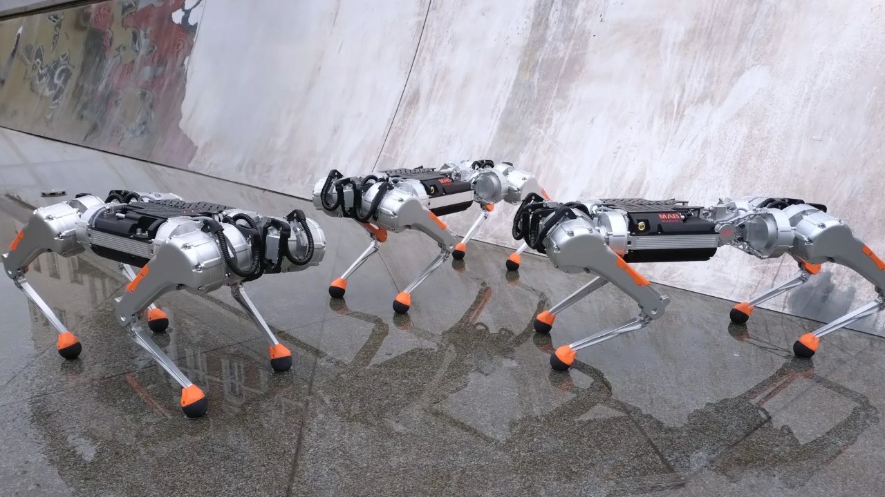 Image of a group of robot dogs 