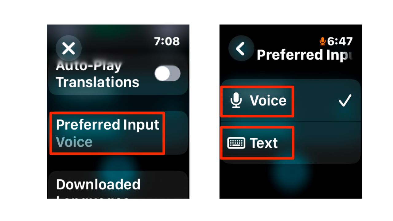 Image of Preferred input selection 