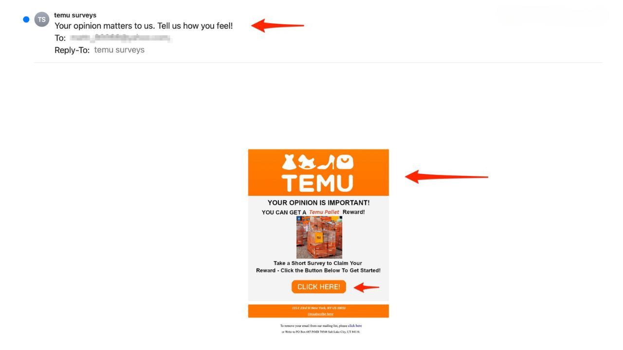 Image of fake Temu phishing email 