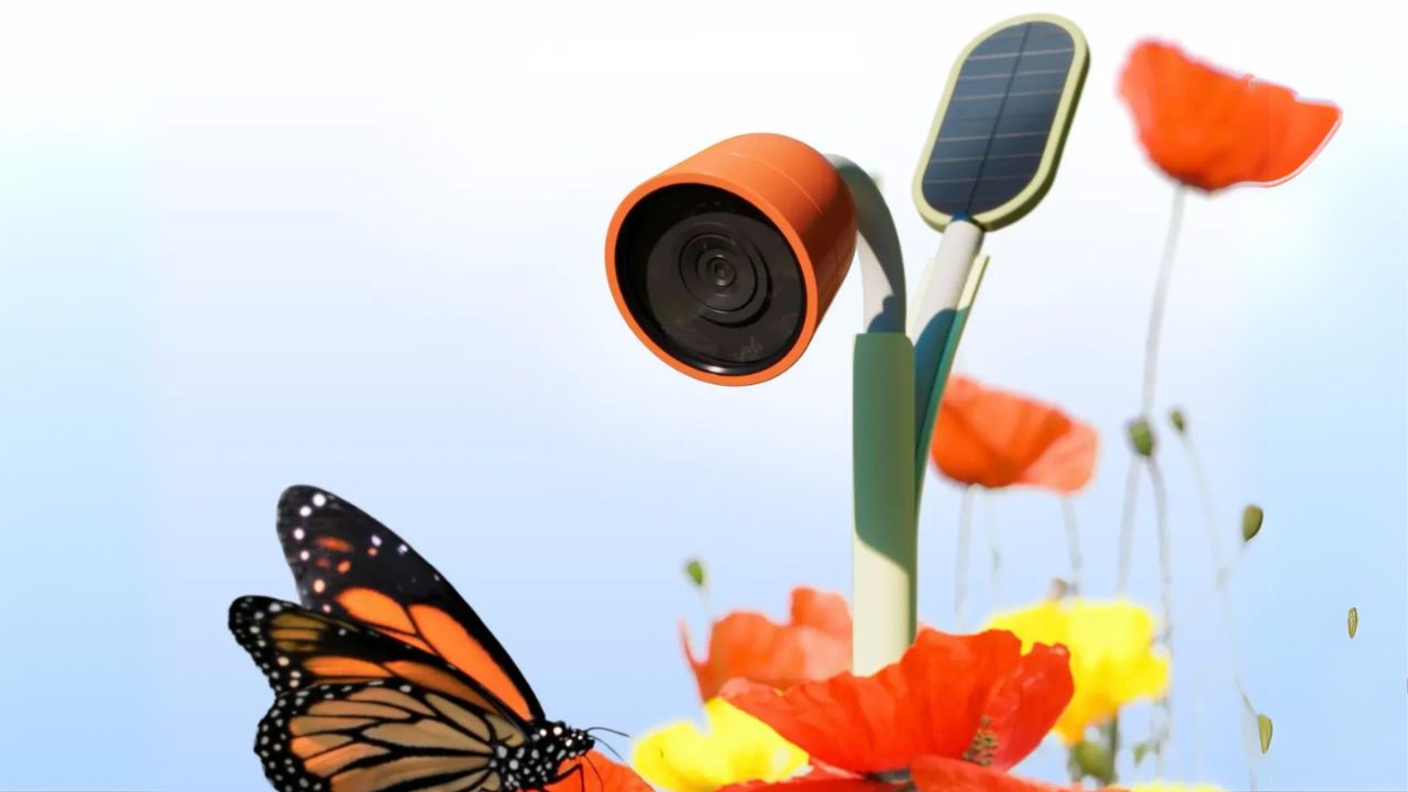 Bird Buddy's innovative garden monitoring camera