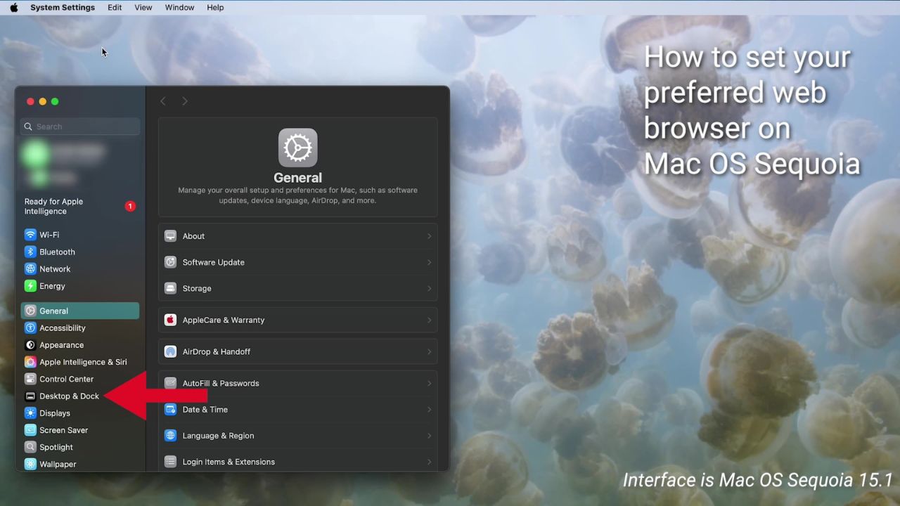 Steps to set up your preferred web browser on a Mac