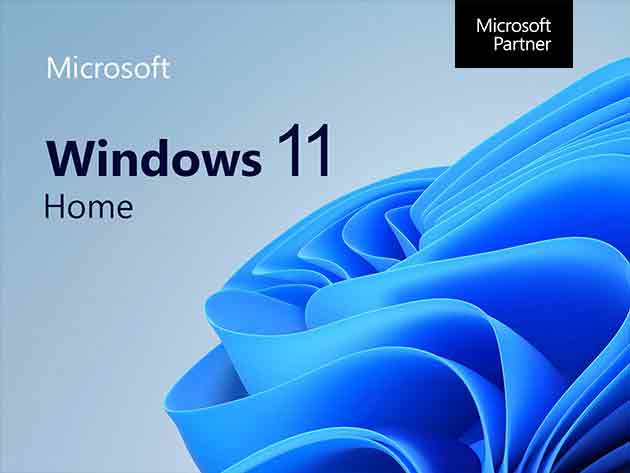 Microsoft Windows 11 Home (92% off)