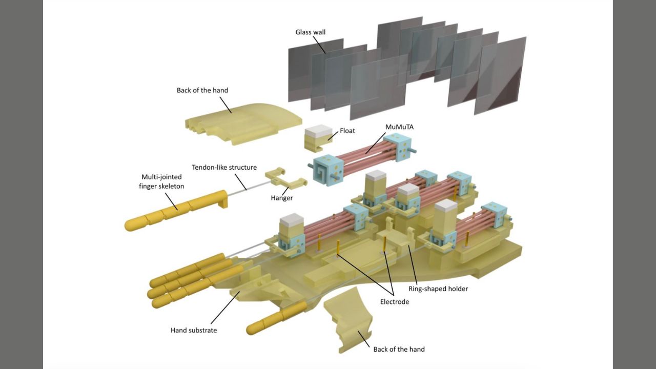 Biohybrid hand