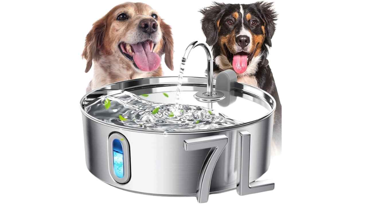 Stainless Steel Pet Water Fountain