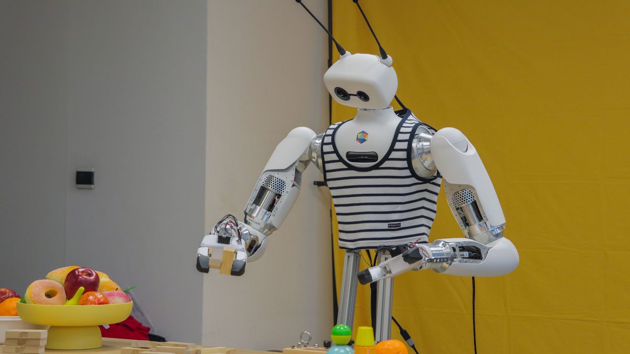 Humanoid robot