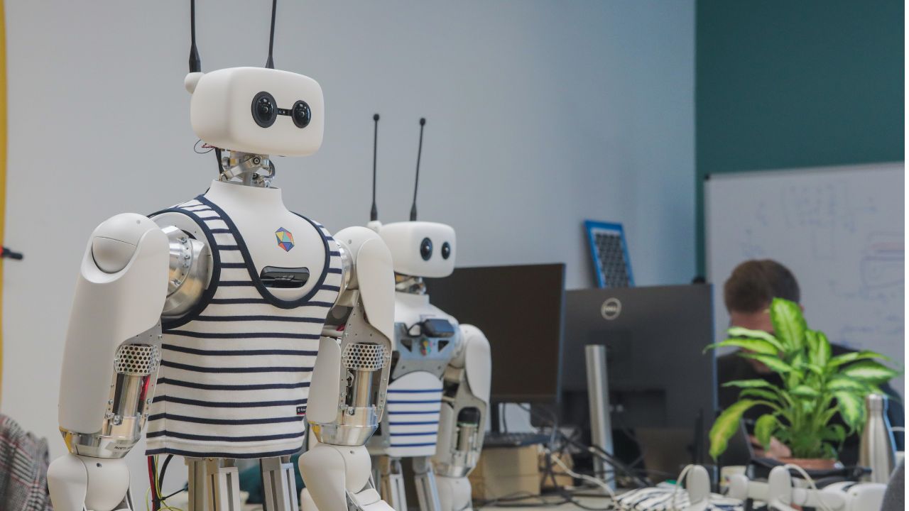 Humanoid robot