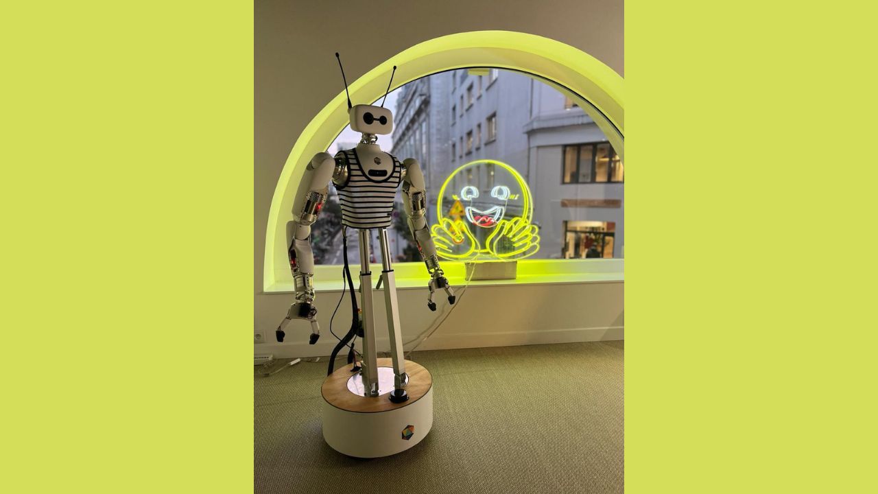 Humanoid robot