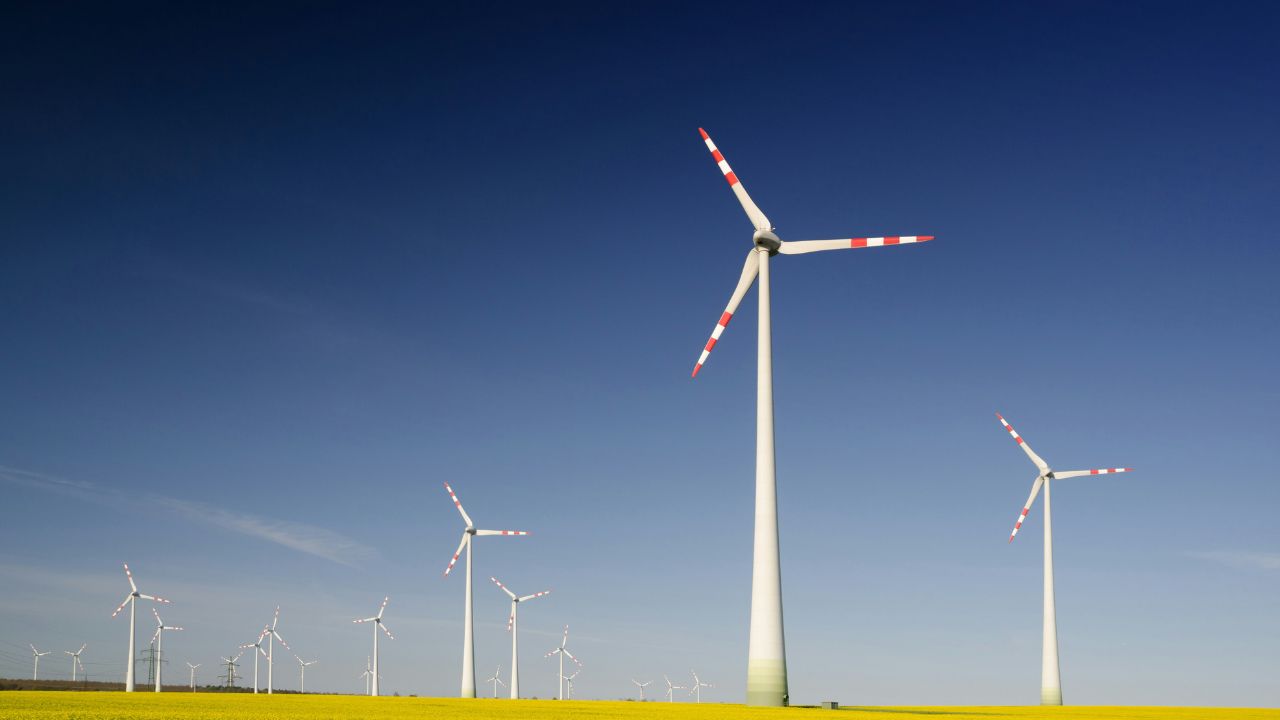 wind farm as renewable energy