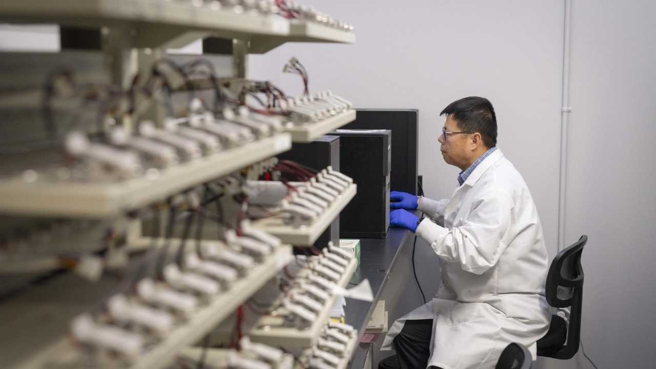 Professor Yan Wang working in the lab at WPI 