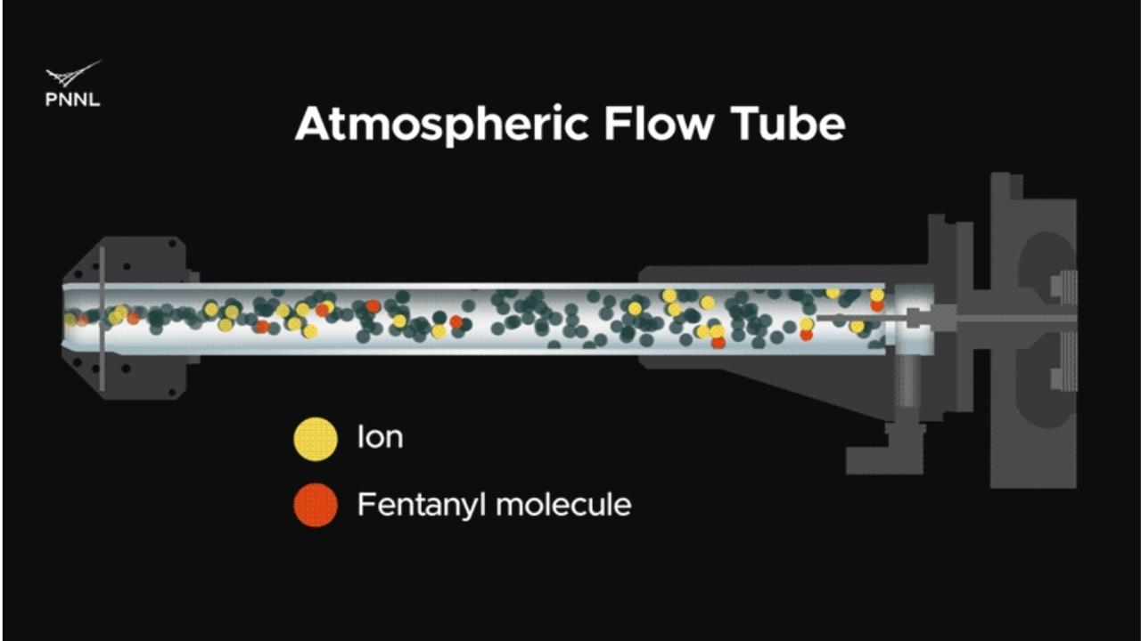 Illustration of the action within the atmospheric flow tube that is a key to the detection of trace levels of fentanyl.