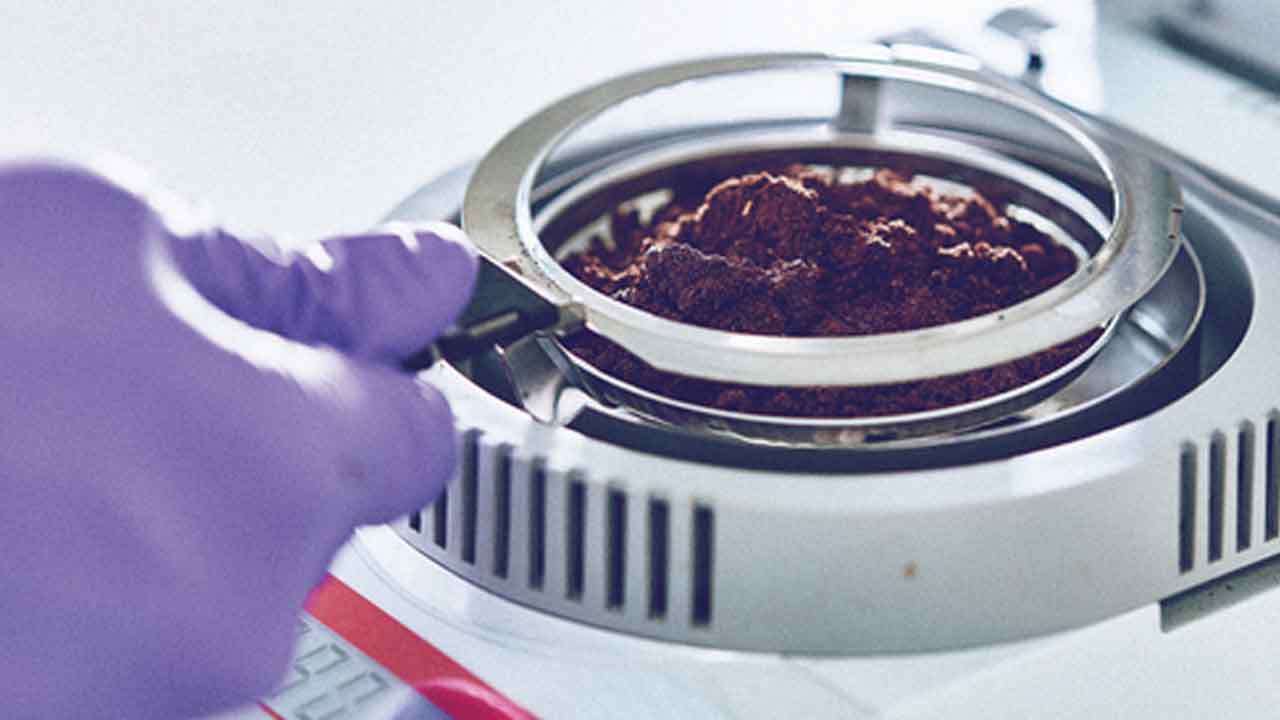 Analysis of spent coffee grounds
