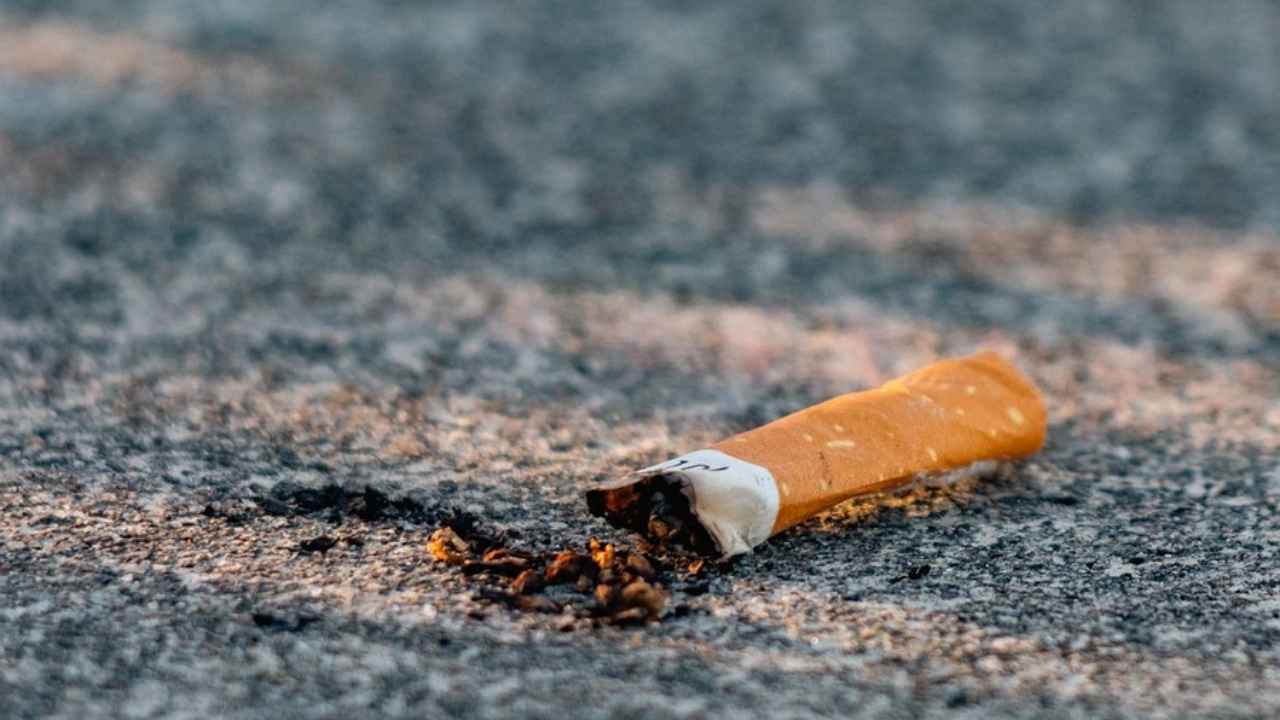 Littered cigarette butt on asphalt road