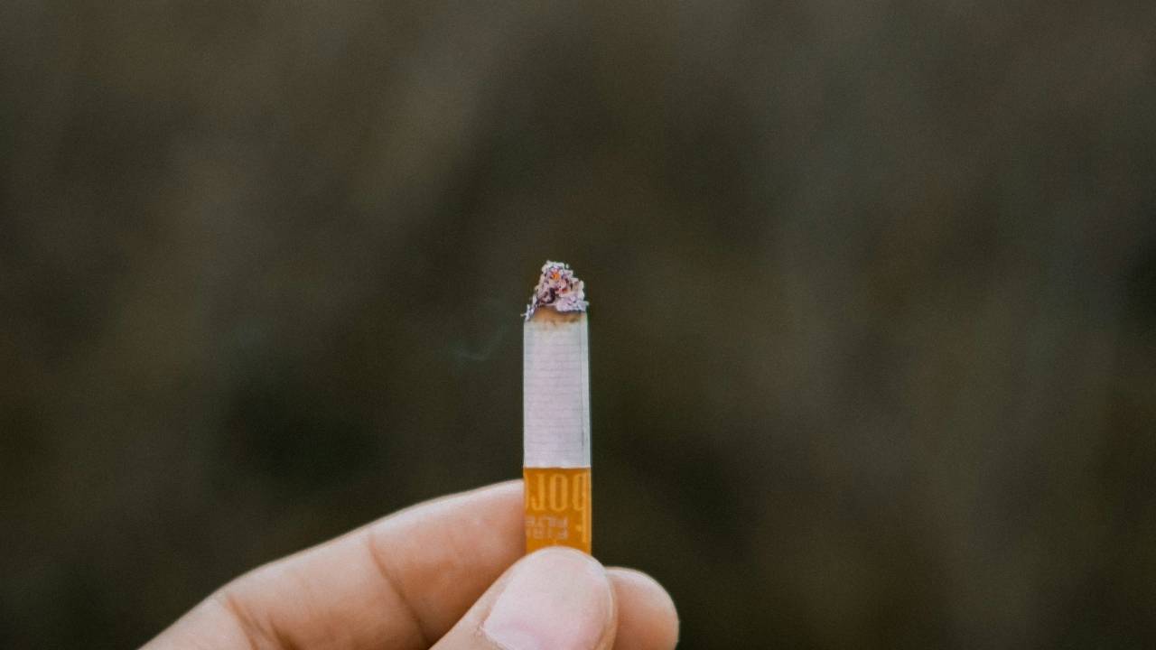 Person holding cigarette butt in hand