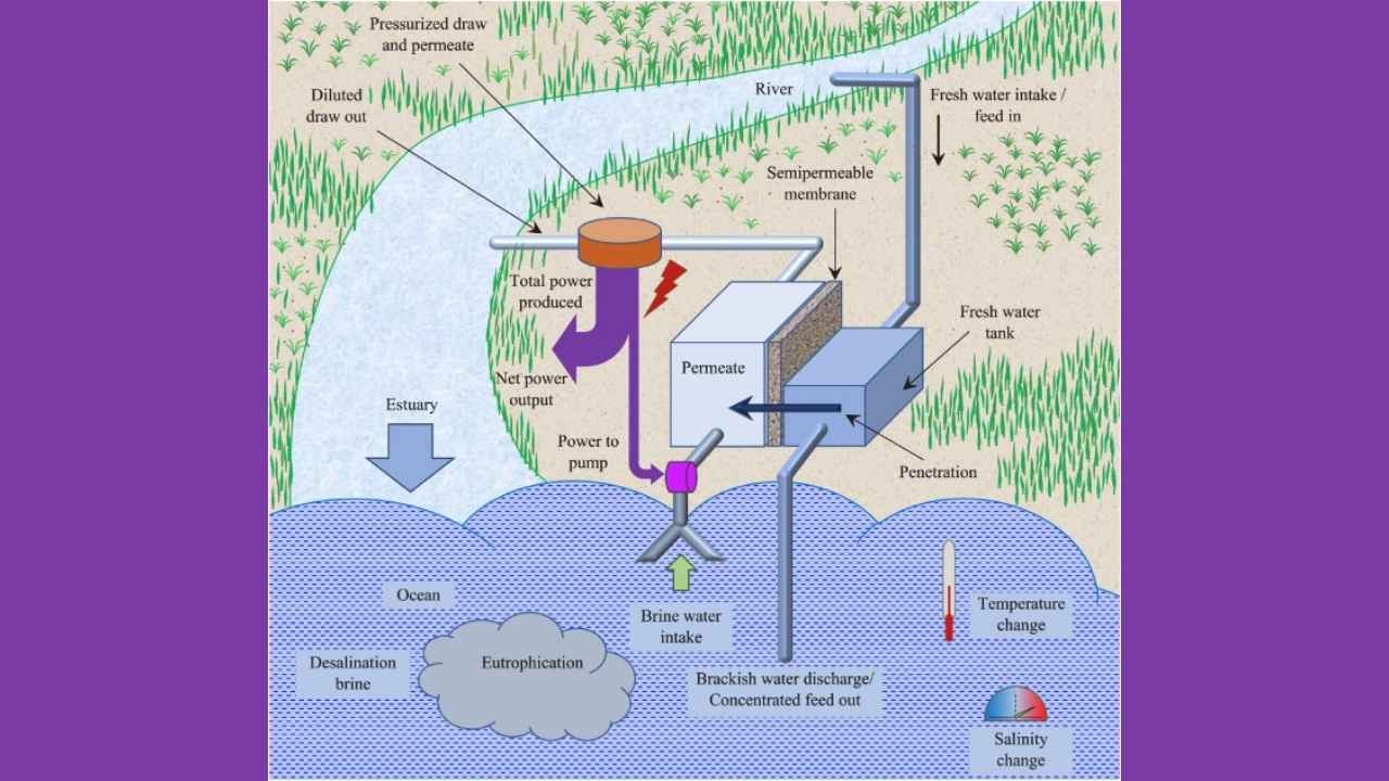 illustrates an osmotic power plant. 