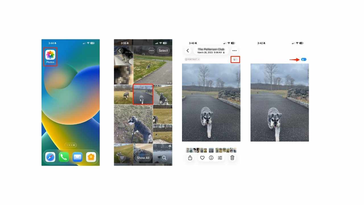 Steps to use Spatial Scenes in the Photos App of your iPhone 