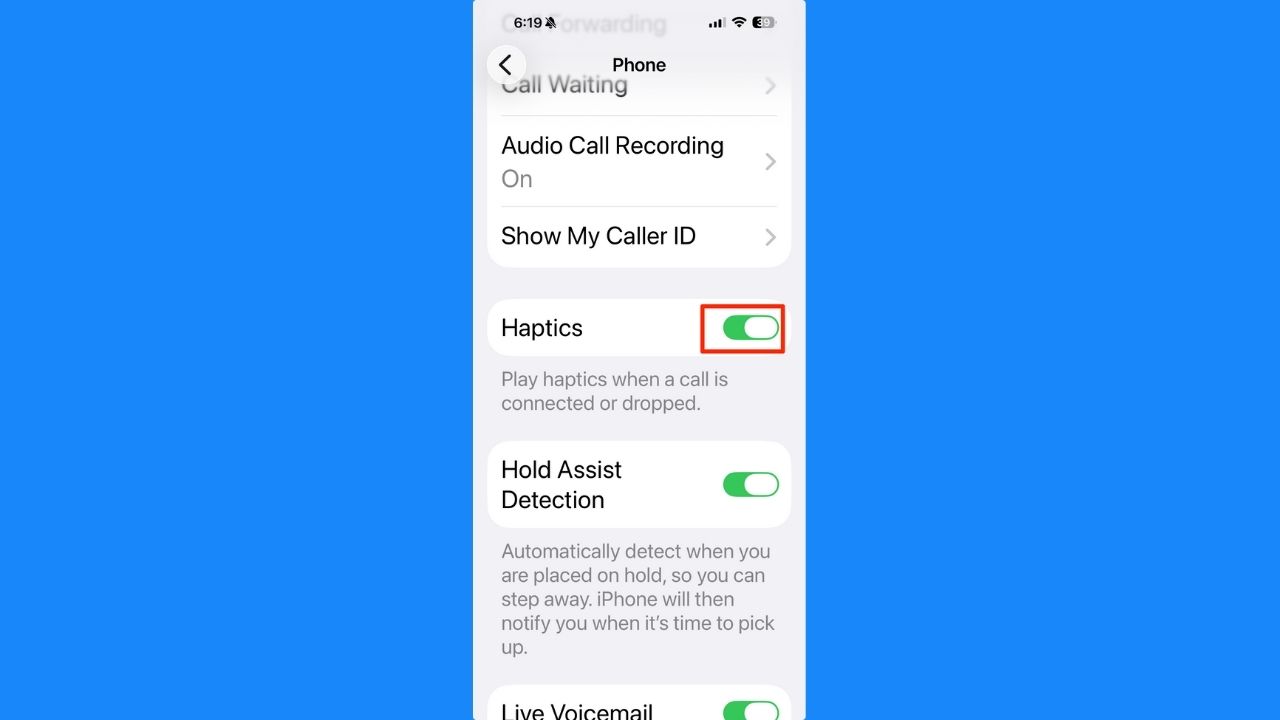 Phone call haptics control in iOS 26.1 on iPhone