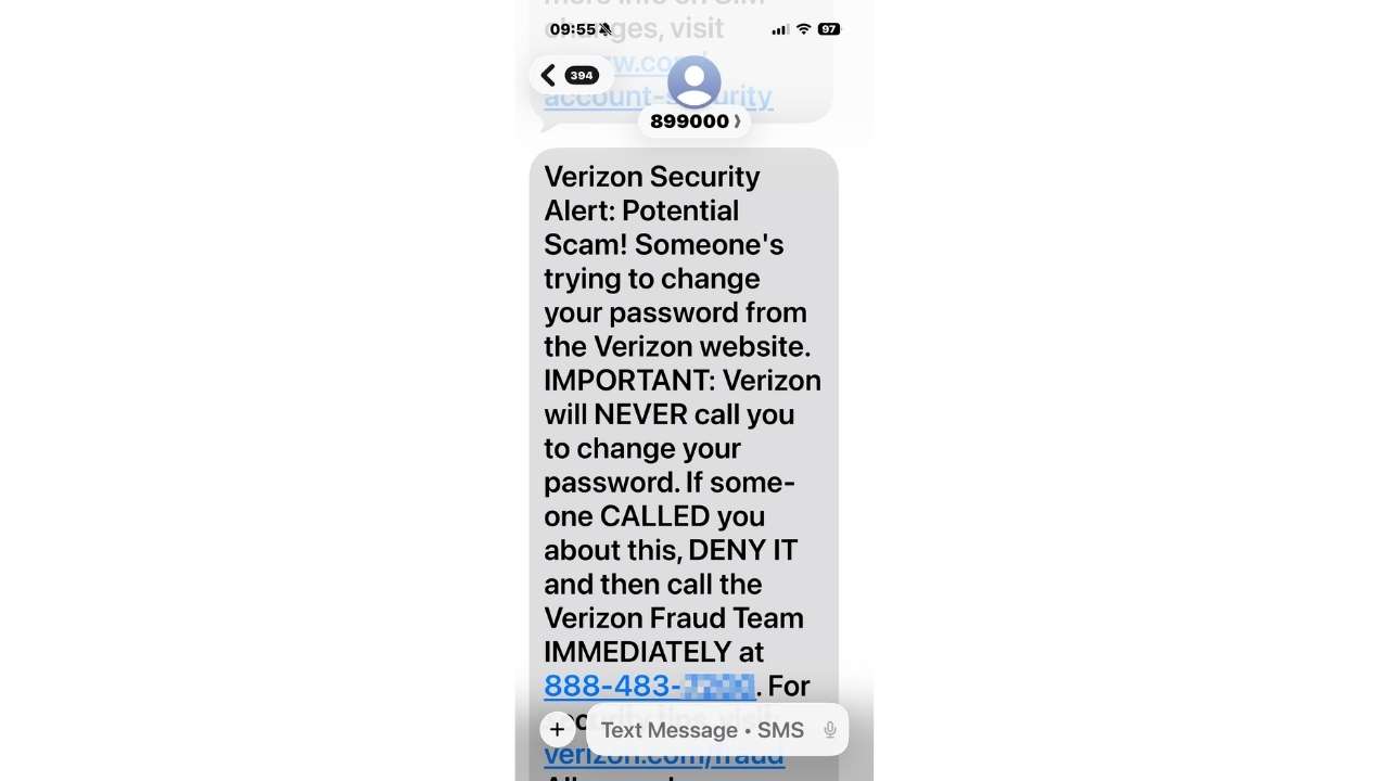 Another message warned that someone was trying to change the Verizon account password from the website.