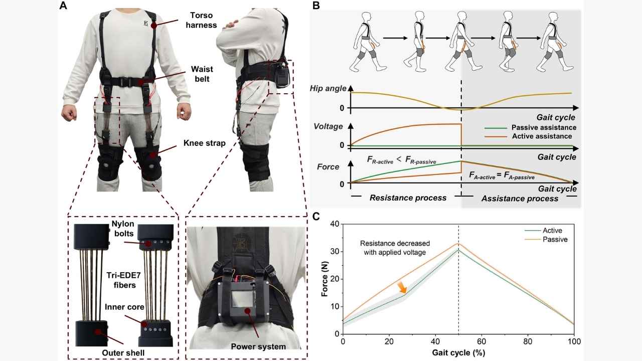 Testing found that active assistance from the soft exosuit reduced the energy needed for walking by an average of 13.9% in six healthy adults.