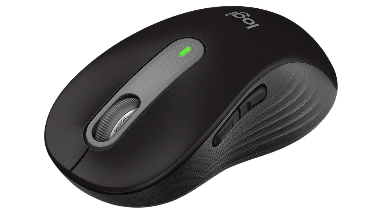 Logitech Signature M650 L Full Size Wireless Mouse