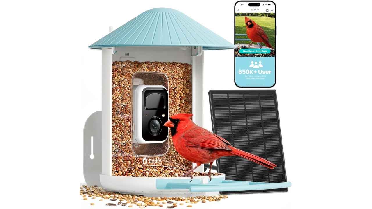 NETVUE by Birdfy Smart Bird Feeder with 2K HD AI Camera